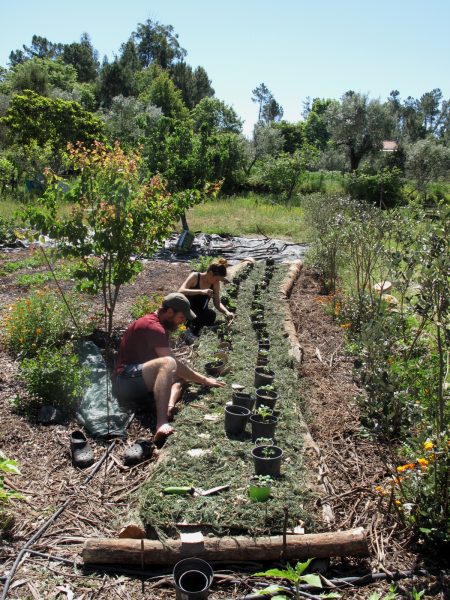 permaculture portugal