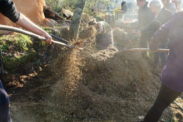 compost permaculture