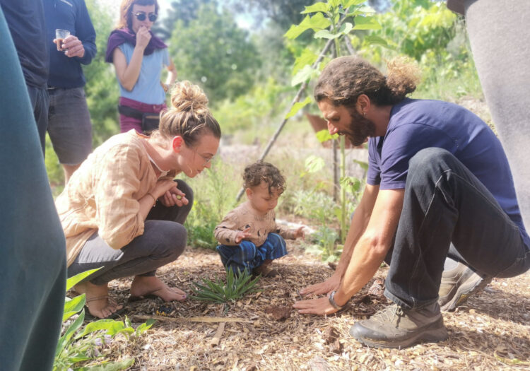 permaculture course